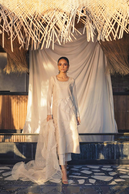 Anam Akhlaq | Festive Collection | D-52 - House Of Anaya
