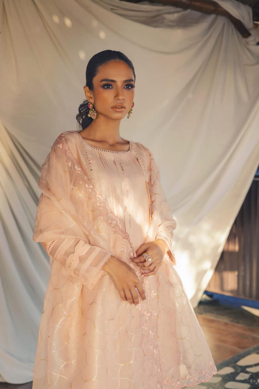Anam Akhlaq | Festive Collection | D-49 - House Of Anaya