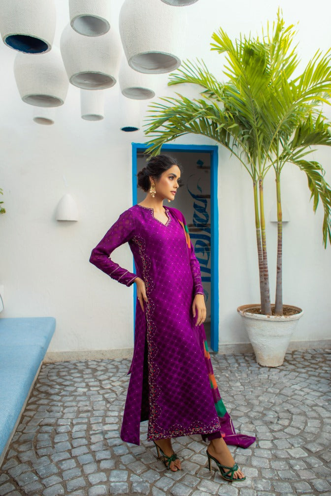 Anam Akhlaq | Festive Collection | D-14 - House Of Anaya