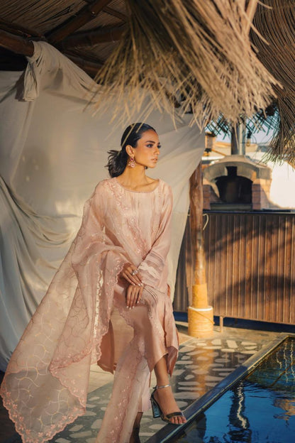 Anam Akhlaq | Festive Collection | D-49 - House Of Anaya