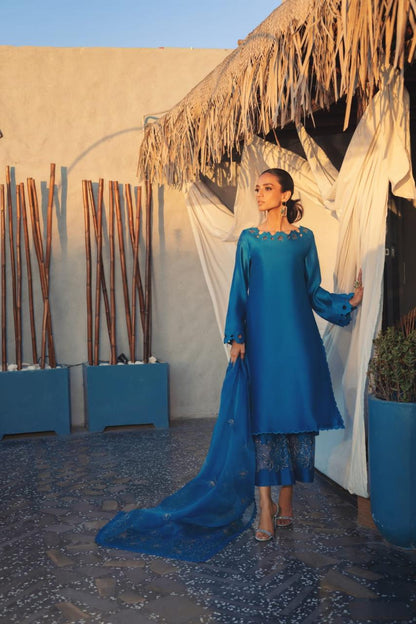 Anam Akhlaq | Festive Collection | D-50 - House Of Anaya