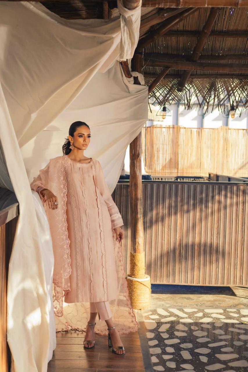 Anam Akhlaq | Festive Collection | D-49 - House Of Anaya