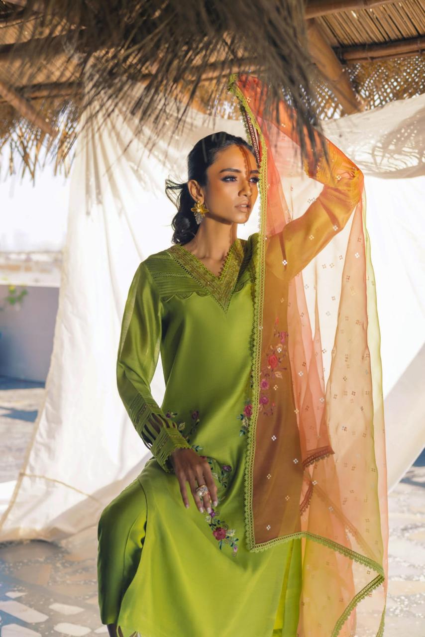 Anam Akhlaq | Festive Collection | D-51 - House Of Anaya