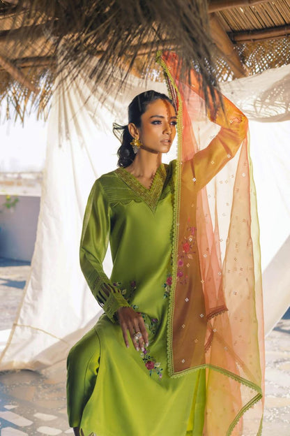 Anam Akhlaq | Festive Collection | D-51 - House Of Anaya