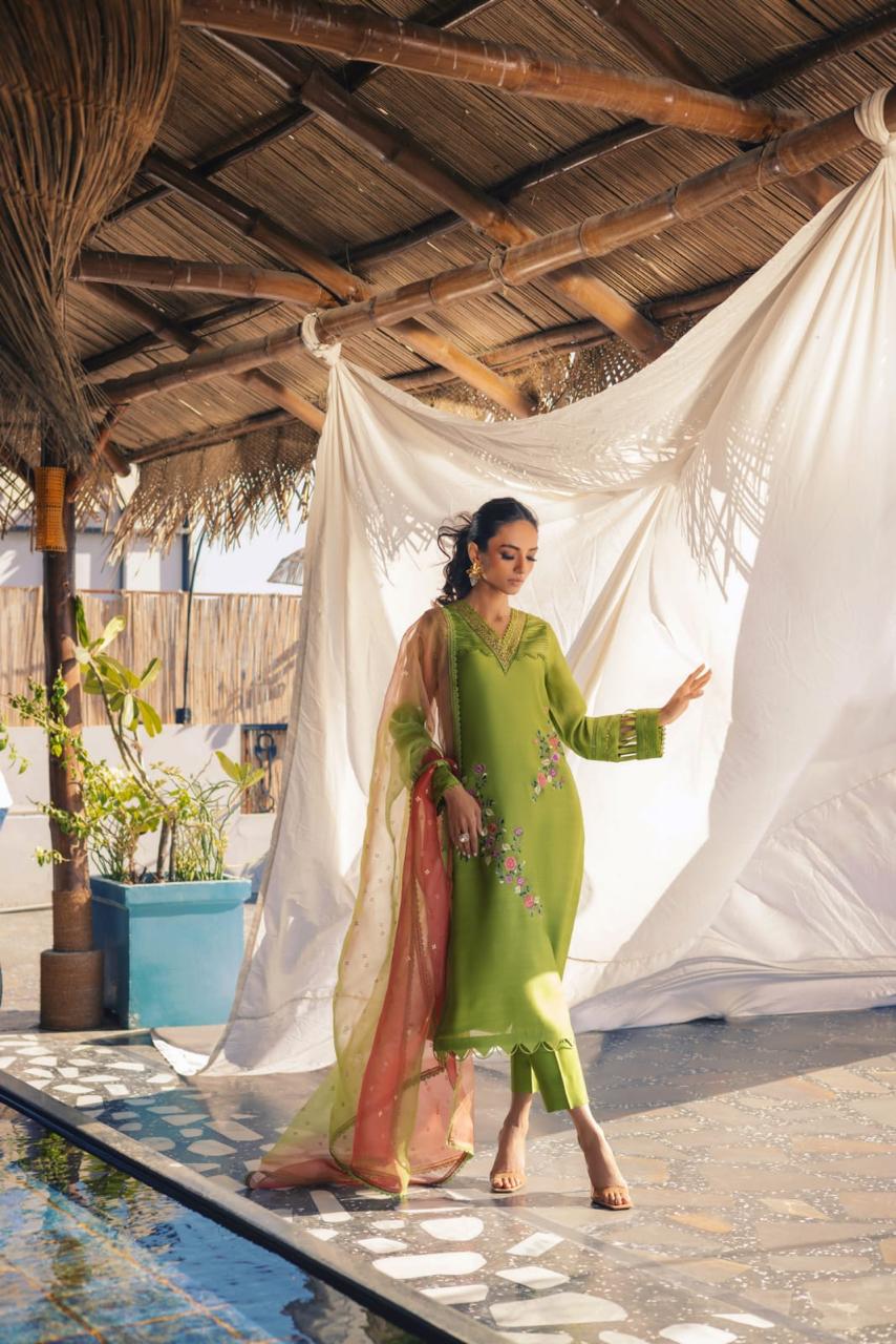 Anam Akhlaq | Festive Collection | D-51 - House Of Anaya