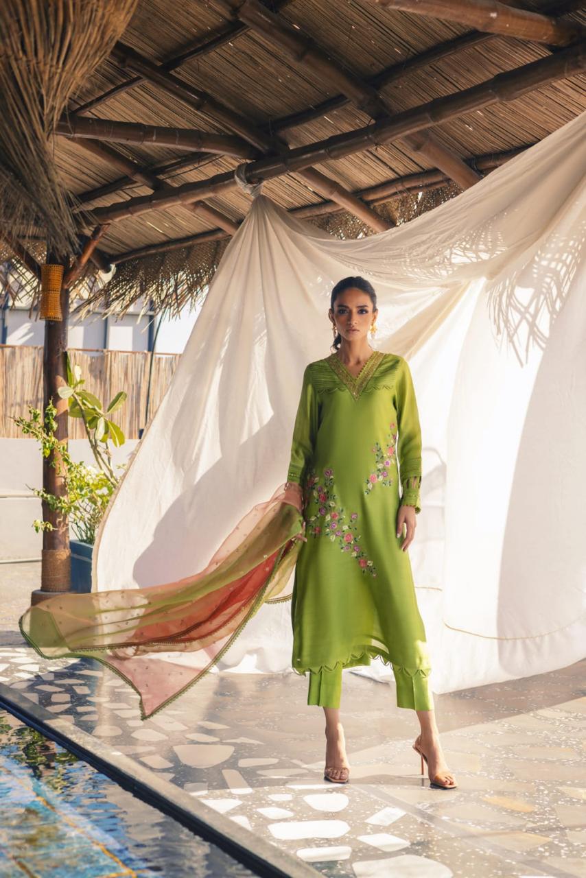 Anam Akhlaq | Festive Collection | D-51 - House Of Anaya