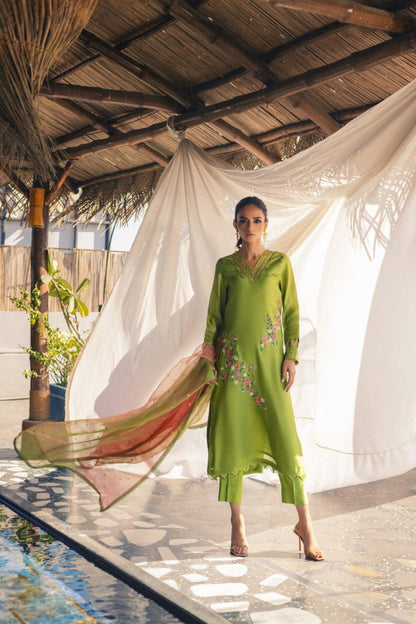 Anam Akhlaq | Festive Collection | D-51 - House Of Anaya