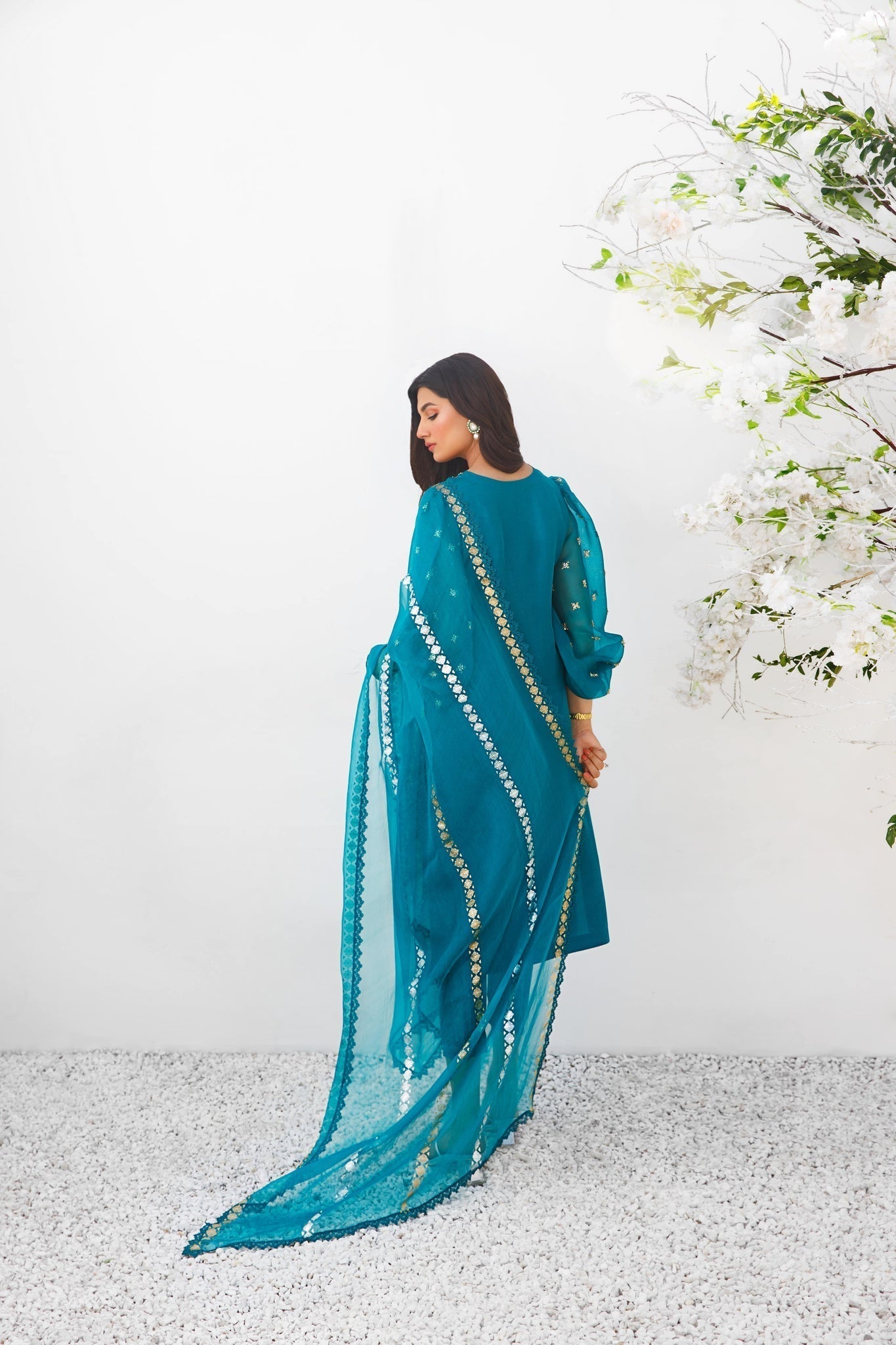 Anam Akhlaq | Festive Collection | D-15 - House Of Anaya
