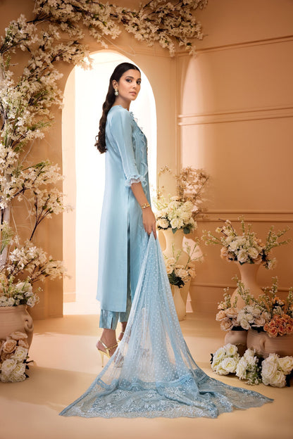 Anam Akhlaq | Festive Collection | D-32 - House Of Anaya