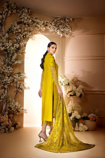 Anam Akhlaq | Festive Collection | D-34 - House Of Anaya