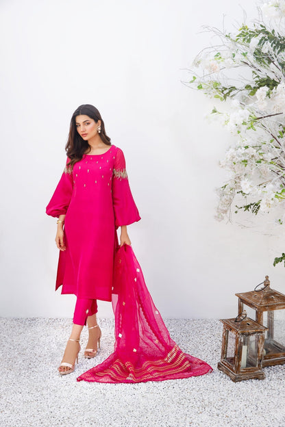 Anam Akhlaq | Festive Collection | D-16 - House Of Anaya
