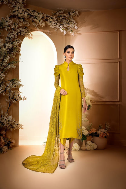 Anam Akhlaq | Festive Collection | D-34 - House Of Anaya
