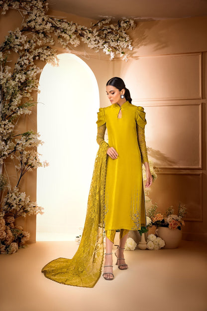 Anam Akhlaq | Festive Collection | D-34 - House Of Anaya