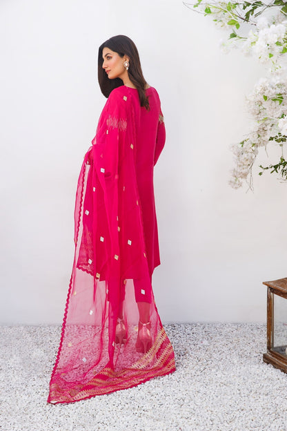 Anam Akhlaq | Festive Collection | D-16 - House Of Anaya