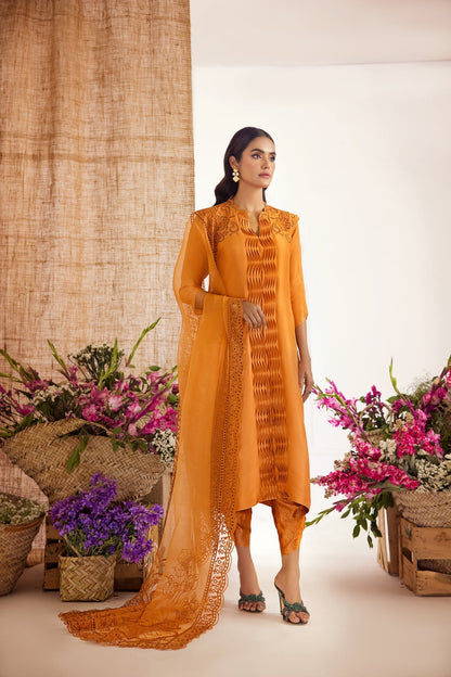 Anam Akhlaq | Festive Collection | D-39 - House Of Anaya