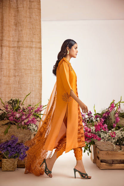 Anam Akhlaq | Festive Collection | D-39 - House Of Anaya