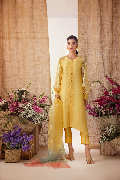 Anam Akhlaq | Festive Collection | D-35 - House Of Anaya