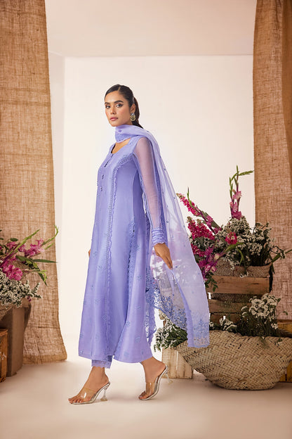 Anam Akhlaq | Festive Collection | D-38 - House Of Anaya