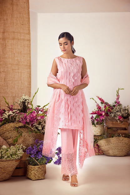Anam Akhlaq | Festive Collection | D-36 - House Of Anaya
