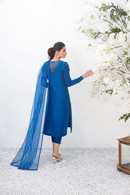 Anam Akhlaq | Festive Collection | D-17 - House Of Anaya