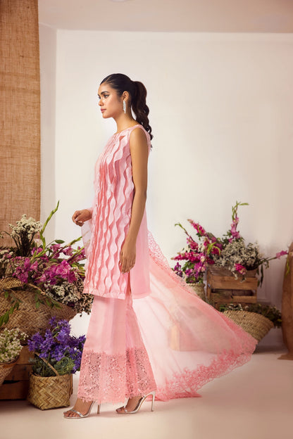 Anam Akhlaq | Festive Collection | D-36 - House Of Anaya