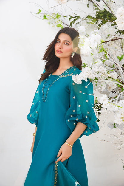 Anam Akhlaq | Festive Collection | D-15 - House Of Anaya