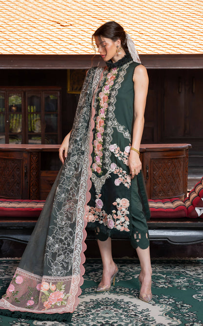 Asifa and Nabeel | Rosemary Ruffles 24 | Charisma - House Of Anaya
