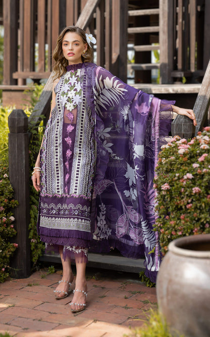 Asifa and Nabeel | Rosemary Ruffles 24 | Dazzle - House Of Anaya