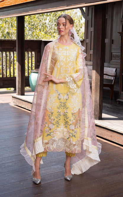 Asifa and Nabeel | Rosemary Ruffles 24 | Essence - House Of Anaya