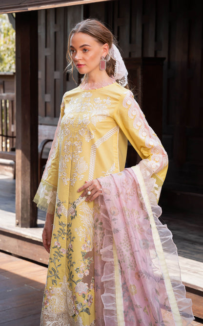Asifa and Nabeel | Rosemary Ruffles 24 | Essence - House Of Anaya