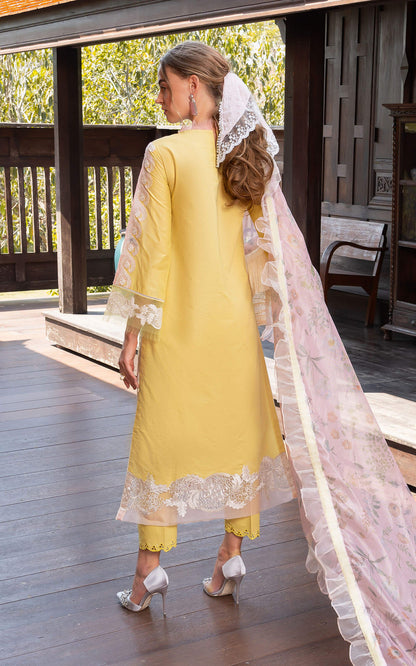 Asifa and Nabeel | Rosemary Ruffles 24 | Essence - House Of Anaya