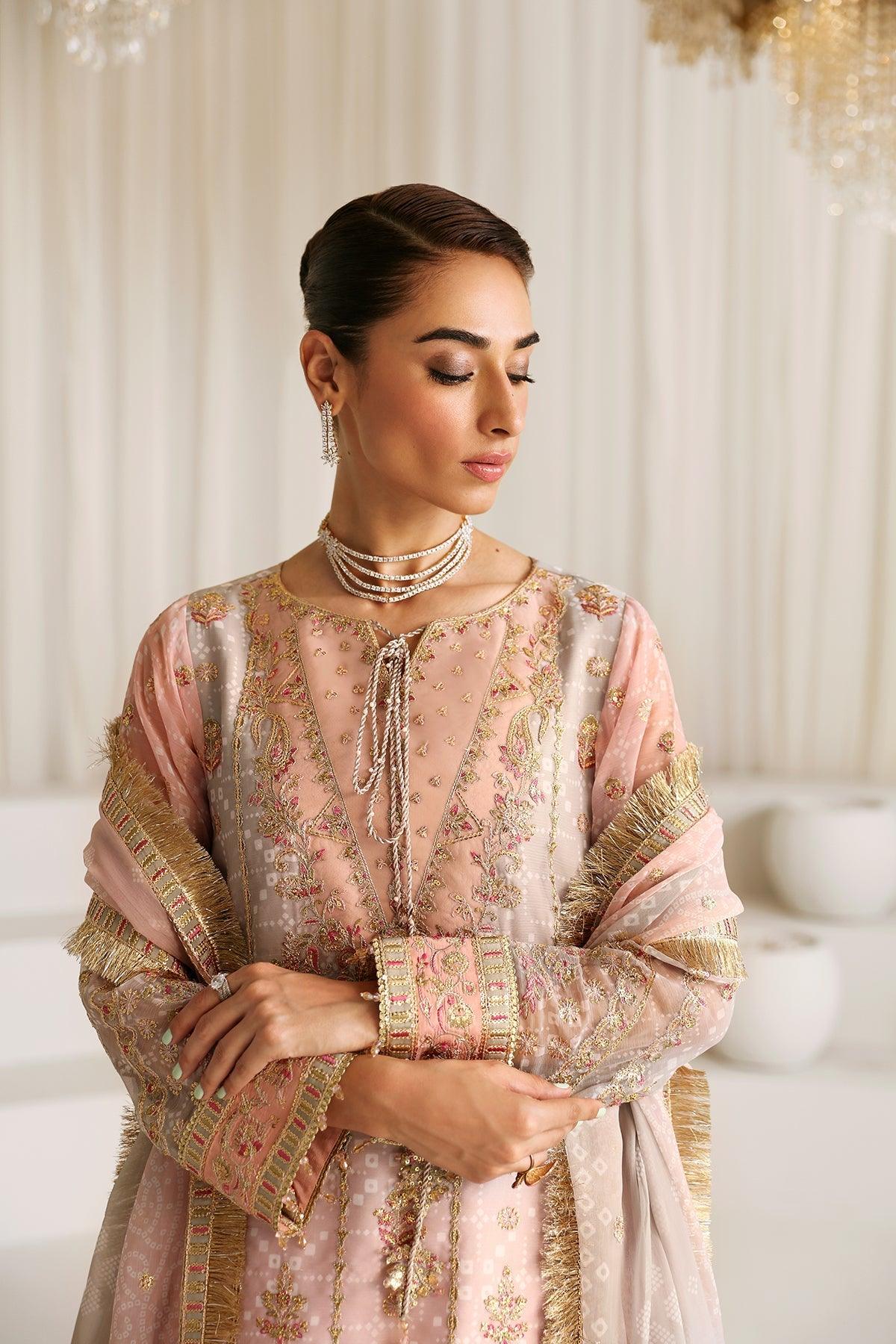 Alizeh | La Ruha Wedding Formals | AF-CH-2181-Breeze - House Of Anaya