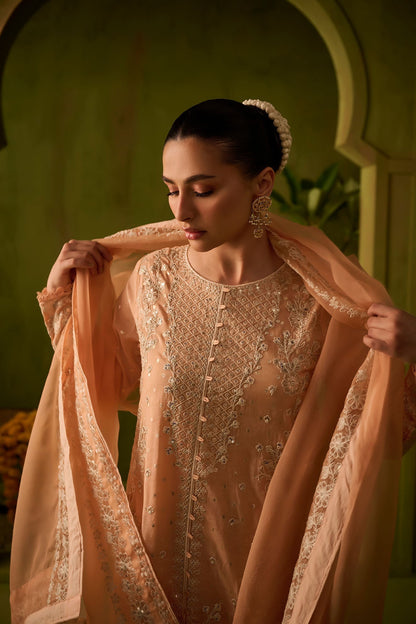 Dhanak | Festive Formals | SS24DU-3199 L-PINK 3Pcs - House Of Anaya