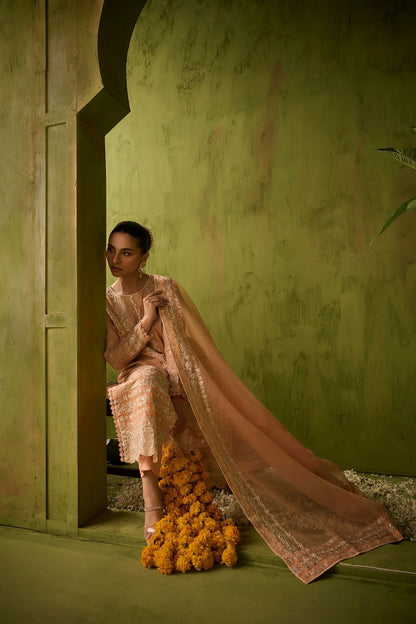Dhanak | Festive Formals | SS24DU-3199 L-PINK 3Pcs - House Of Anaya