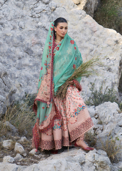 Hussain Rehar Chitlali | Peach Digital Print Panelled Pishwas Lawn Suit