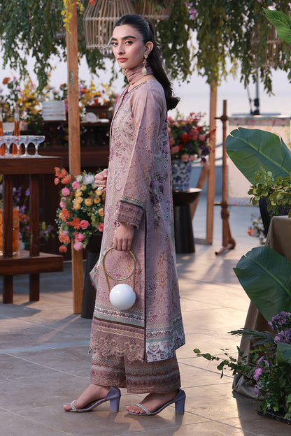 Gulaal | Delia Lawn | Ayla