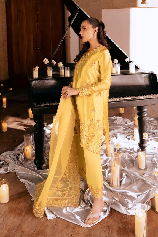 Dhanak | Luxury Pret | FW25DL-0346