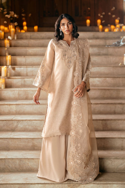 Dhanak | Luxury Pret | FW25DL-0349