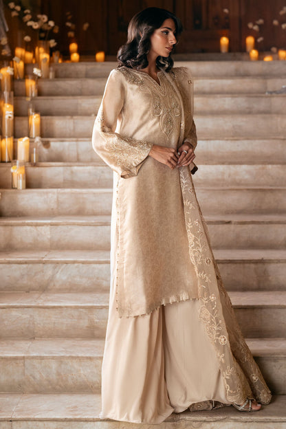Dhanak | Luxury Pret | FW25DL-0349