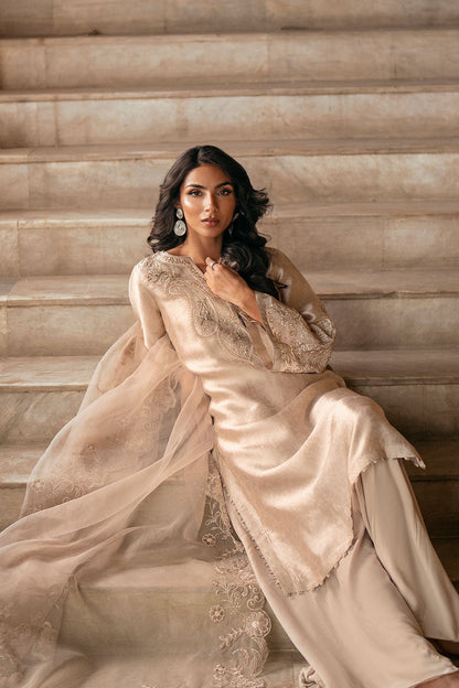Dhanak | Luxury Pret | FW25DL-0349