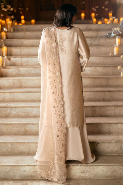 Dhanak | Luxury Pret | FW25DL-0349