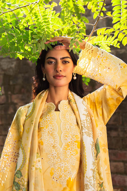 Neeshay | Summer Lines Printkari 25 | BUTTERCUP