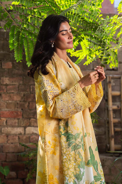 Neeshay | Summer Lines Printkari 25 | BUTTERCUP