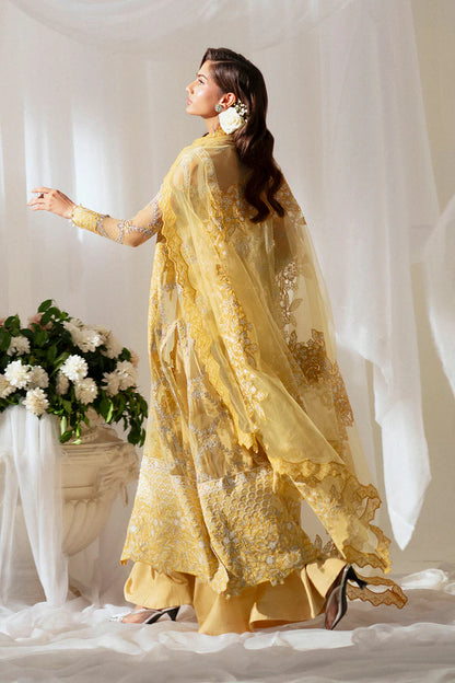 Maryum N Maria | Musawir | MIRA - MS50392