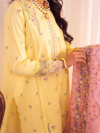 Faiza Faisal | Celine Eid 25 | CELIA