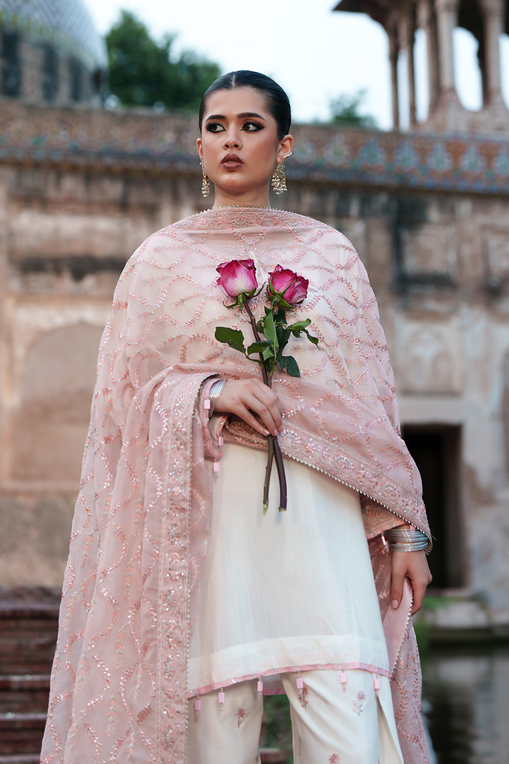 Saad Shaikh | Zaria Festive Pret 25 | CHENTLY