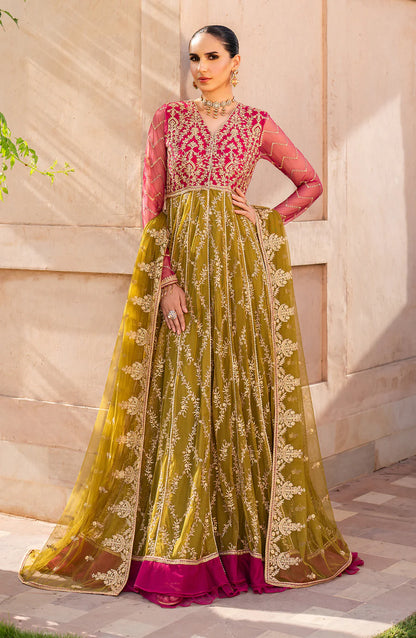 Zarif | Sahiba | UNST-SBA-03 LARA