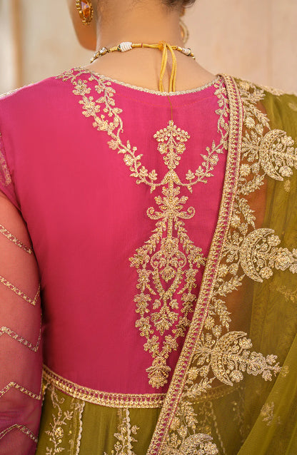 Zarif | Sahiba | UNST-SBA-03 LARA