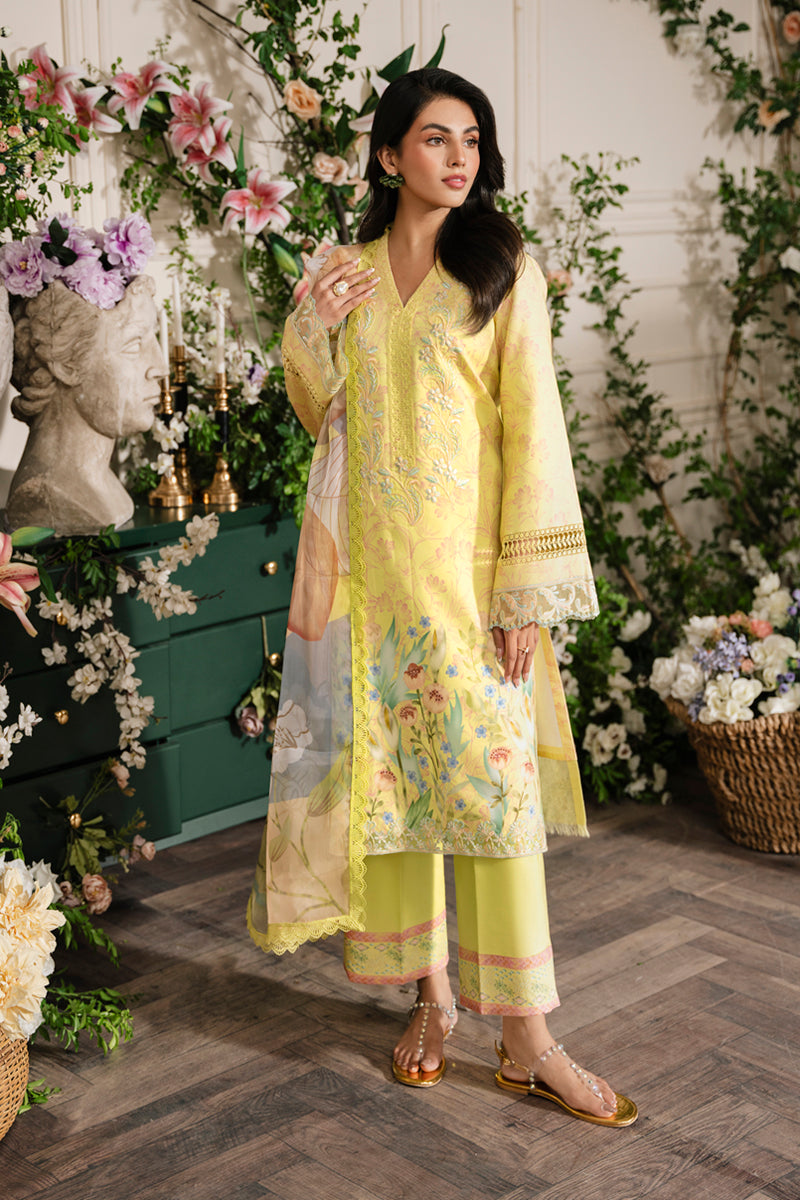 Rangrasiya | Lifestyle Embroidered Edit 24 | SUN KISSED