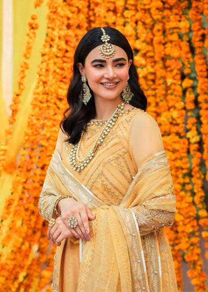 Shurooq | Jahan-ara-ki-shaadi | ZAHRA